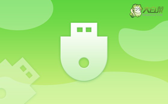 大白菜怎么U盤重裝系統-大白菜怎么U盤重裝系統win10