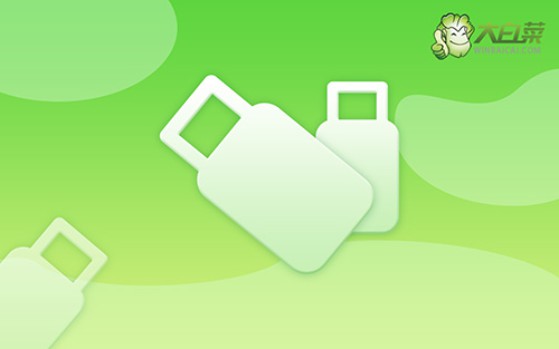 怎么u盤啟動裝系統官網,怎么u盤啟動裝系統教程