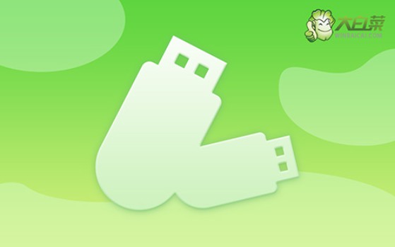 大白菜裝機教程-大白菜裝機教程win7